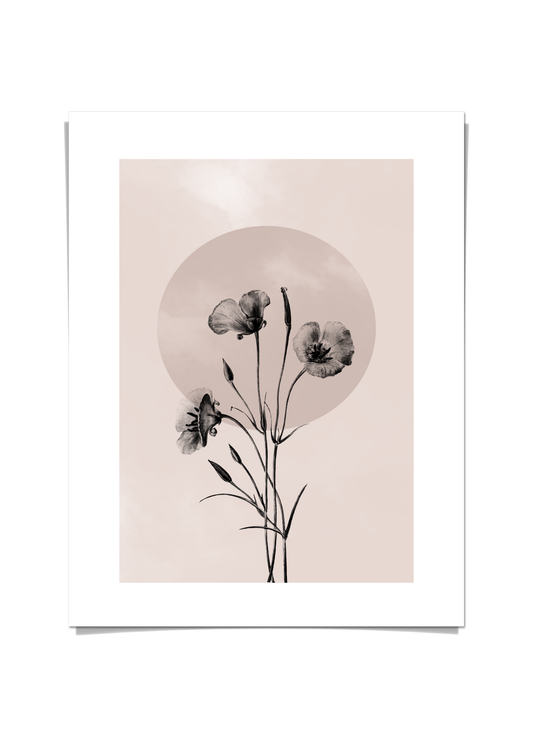 Flower Watercolor Poster